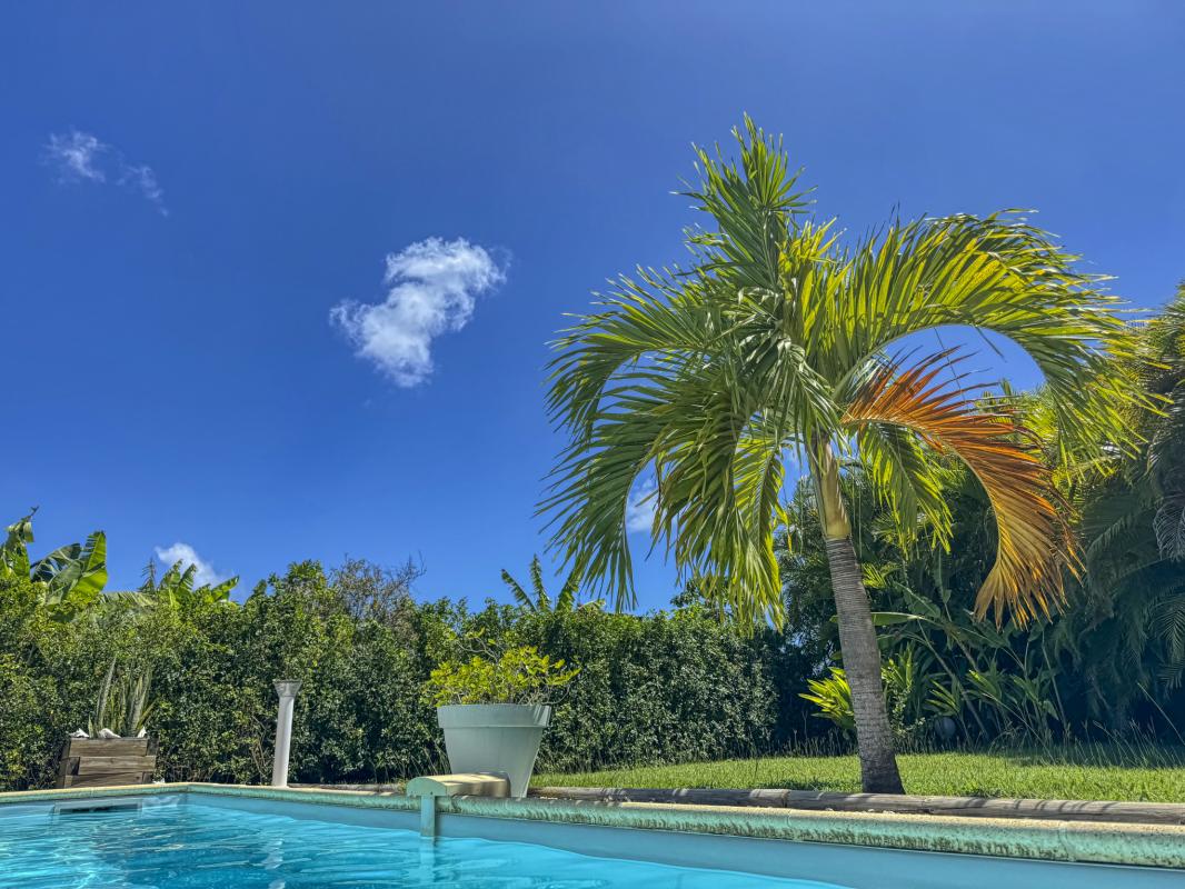 6.Location villa piscine Saint François Guadeloupe_Piscine